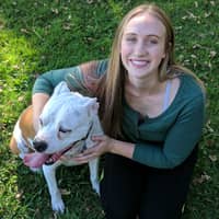 Sitter Profile Image: Renae C.