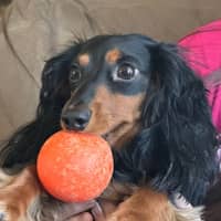 Sitter Profile Image: Dorothy S.