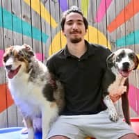 Sitter Profile Image: Maximo M.