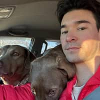 Sitter Profile Image: Michael A.