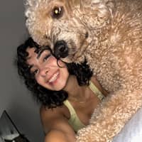 Immagine del profilo del sitter: Rabia Hilal S.