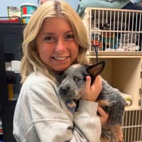 Sitter Profile Image: Hunter M.