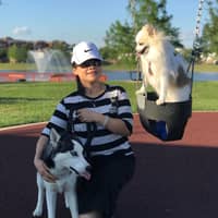 Sitter Profile Image: Ping W.