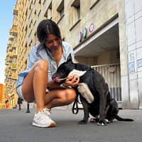 Photo de profil du pet sitter : Vanny V.
