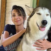 Sitter Profile Image: Elahe A.