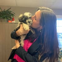 Sitter Profile Image: Laura C.