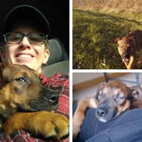 Sitter Profile Image: Sandy M.