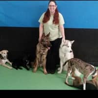 Sitter Profile Image: Samantha K.