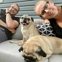 Sitter Profile Image: Colleen & Sean B.