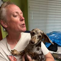 Sitter Profile Image: Amity H.