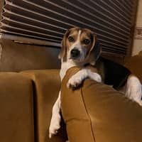 Sitter Profile Image: Bobbie Y.