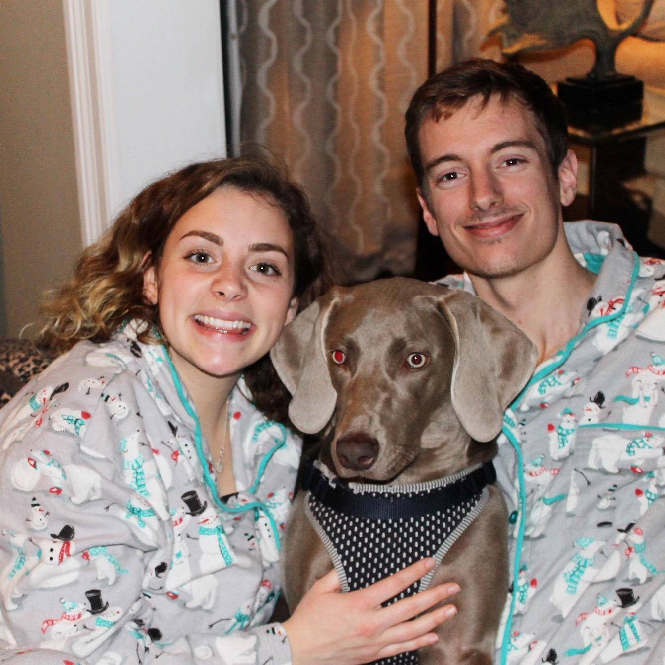 Best Dog Boarding In Hillsboro Or Rover Com