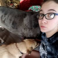 Sitter Profile Image: Sara C.