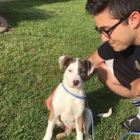 Sitter Profile Image: Mark I.