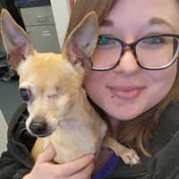 Sitter Profile Image: Jessica B.