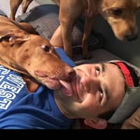 Sitter Profile Image: Phillip L.