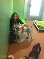 Sitter Profile Image: Amy J.