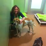 Sitter Profile Image: Amy J.