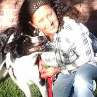 Sitter Profile Image: Allison S.