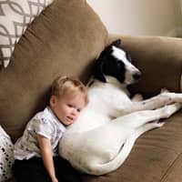 Sitter Profile Image: Kaylah C.