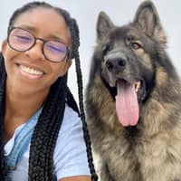 Sitter Profile Image: Camyle A.