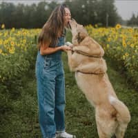 Sitter Profile Image: Allie H.