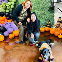 Sitter Profile Image: Karina A.