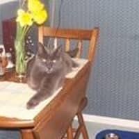 Sitter Profile Image: Pamela W.