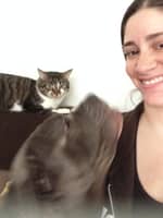 Sitter Profile Image: Lisa L.