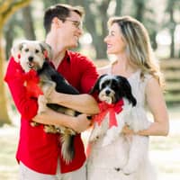 Sitter Profile Image: Cassandra & Tradd D.