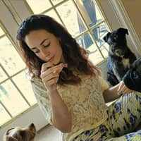 Sitter Profile Image: Fernanda C.