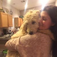 Sitter Profile Image: Nina S.