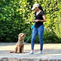 Sitter Profile Image: Sofia L.