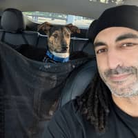 Sitter Profile Image: Bibo K.