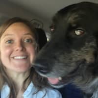 Sitter Profile Image: Gillian B.