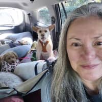 Sitter Profile Image: Isabel Q.