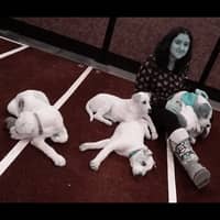 Sitter Profile Image: Noelle M.