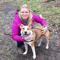 Sitter Profile Image: Meghan S.