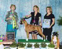 Sitter Profile Image: Kristi K.