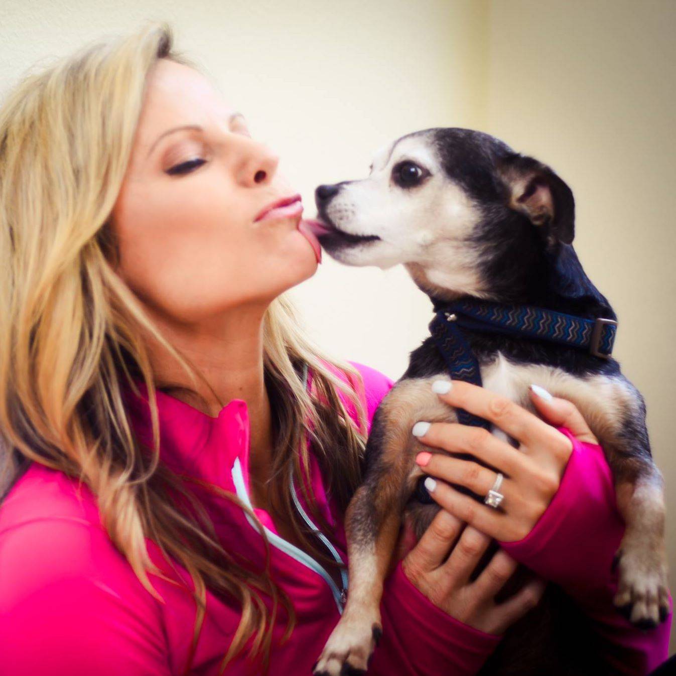 Best Dog Boarding In Georgetown Tx Rover Com