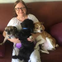 Sitter Profile Image: Dinah A.