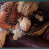 Sitter Profile Image: Georgia M.