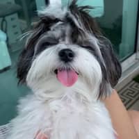 Sitter Profile Image: Jenny W.