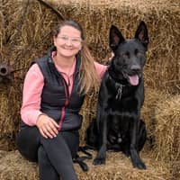 Sitter Profile Image: Allison C.