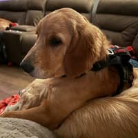 Sitter Profile Image: Jennifer L.