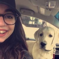 Sitter Profile Image: Gwen W.