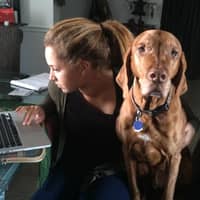 Sitter Profile Image: Sasha G.