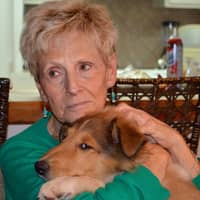 Sitter Profile Image: Judith P.