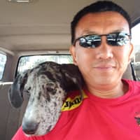 Sitter Profile Image: Qui C.