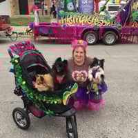 Sitter Profile Image: Holly D.